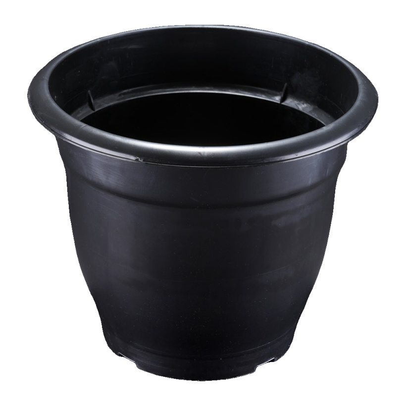 10" Nursery Pot